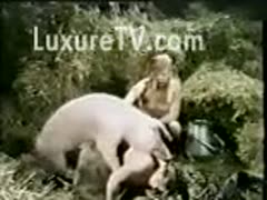 This vintage beastiality film shows a poor amateur woman being held down and penetrated by a hog.